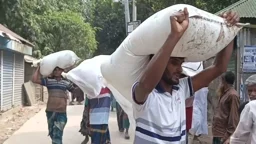 কুড়িগ্রামে ফের ডিলারের গুদামে হামলা চালিয়ে সার লুটপাট