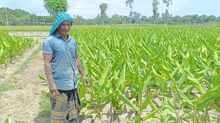 সার সংগ্রহে ‘মাটির স্বাস্থ্য সুরক্ষা কার্ড’ পাচ্ছেন কুড়িগ্রামের কৃষকেরা