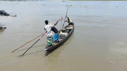 কুড়িগ্রামের নদ-নদীতে রাতে চলছে বিদ্যুতের শকে মাছ নিধন
