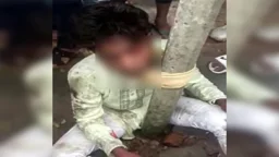 কুষ্টিয়ায় চুরির অভিযোগে যুবককে খুঁটির সঙ্গে বেঁধে নির্যাতন