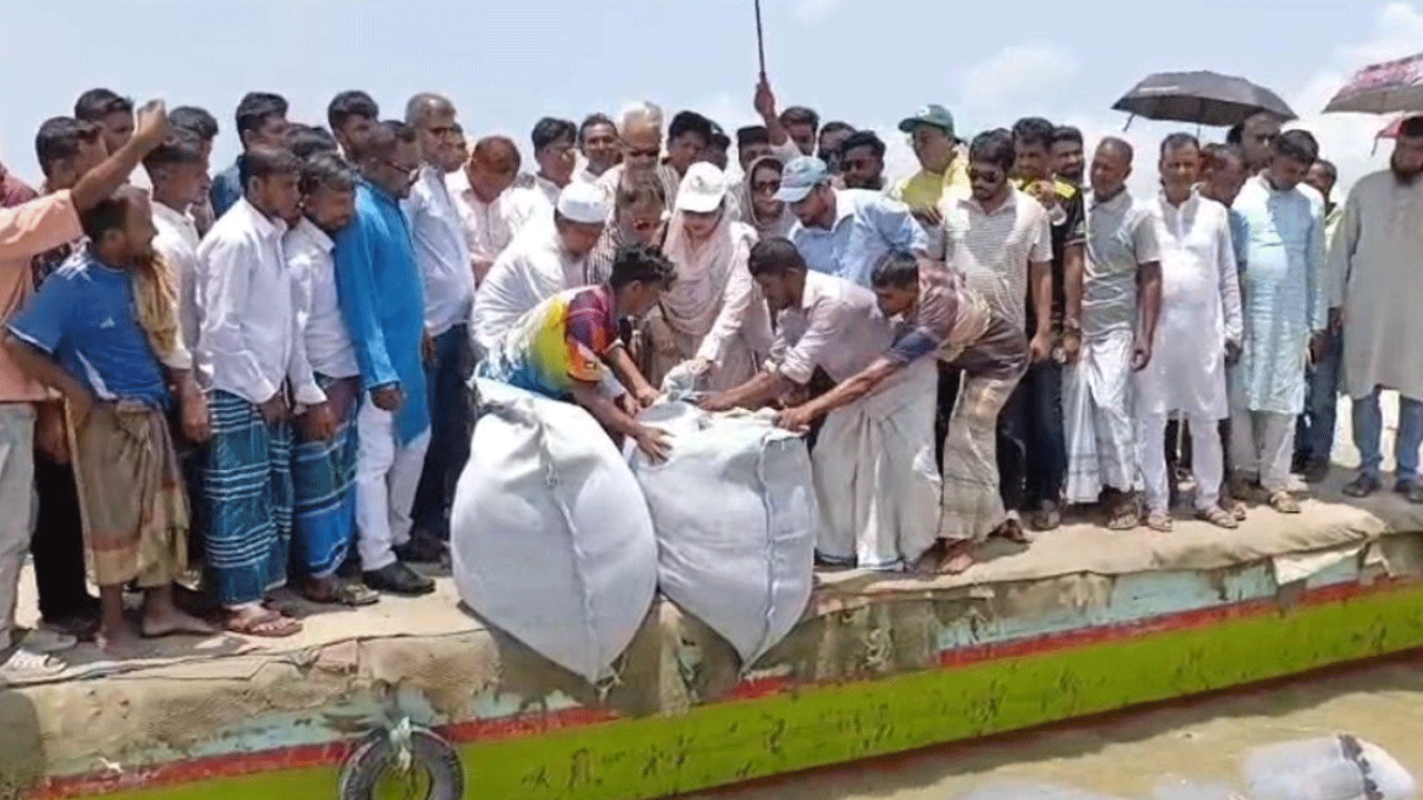 ফরিদপুরে পদ্মার তীব্র ভাঙন, ১৩০ মিটার এলাকায় জিওব্যাগ ডাম্পিং শুরু