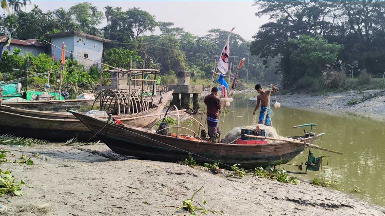 lakhiour-hilsa-fish