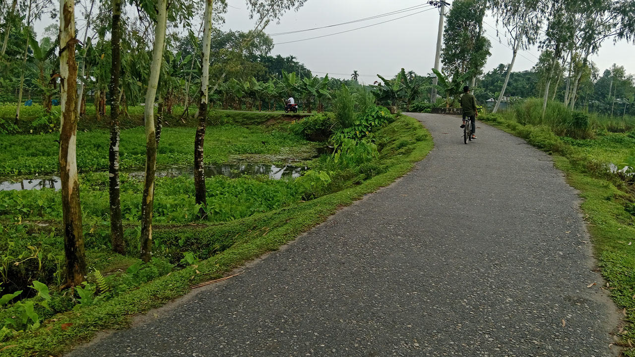 ছিটমহল বিনিময়ের পর লালমনিরহাটের হাতীবান্ধা উপজেলার গোতামারী এলাকায় নির্মিত পাকা সড়ক। ছবি: এশিয়া পোস্ট
