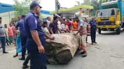 লালমনিরহাটে সারের দাবিতে বিক্ষোভ, মহাসড়ক অবরোধ