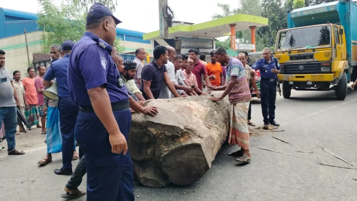 লালমনিরহাটে সারের দাবিতে বিক্ষোভ, মহাসড়ক অবরোধ