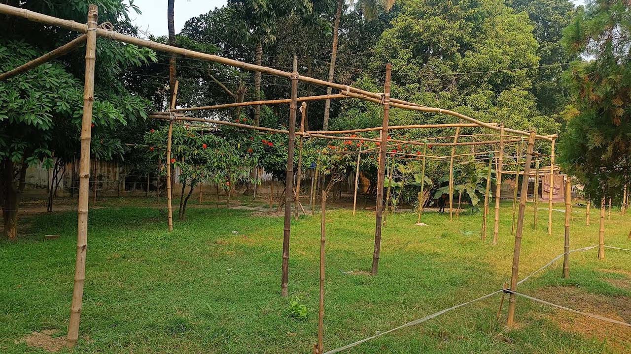 ছবি: এশিয়া পোস্ট