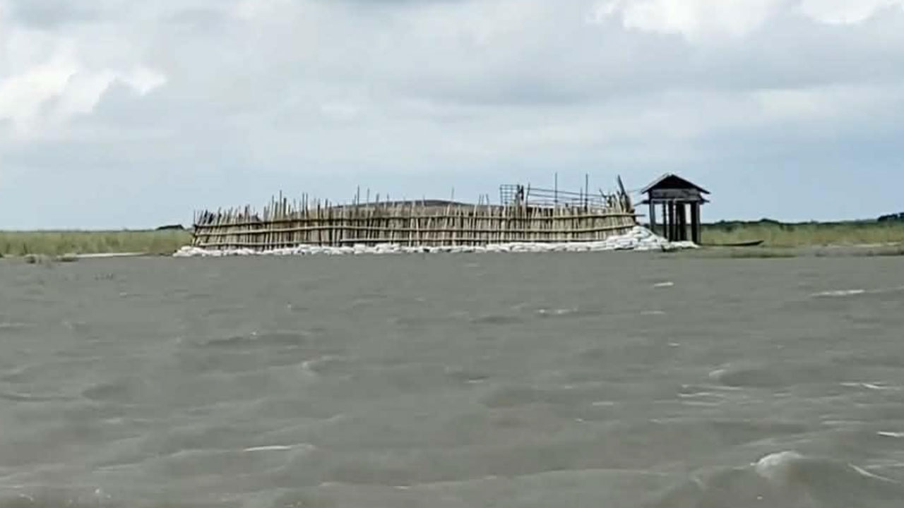 মেঘনার চরে গরু-মহিষ চুরির ‘সিন্ডিকেট’, বাধা দিলেই হামলা
