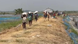 এমপির উপস্থিতিতে খাসজমি উদ্ধারে লুটপাট, নেপথ্যে যুবদল নেতার চাঁদা দাবি