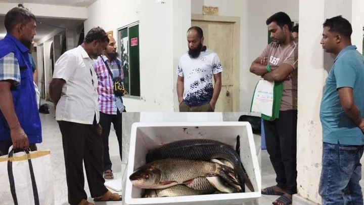 সরকারি পুকুরের মাছ ধরে বাড়ি নিয়ে যাওয়ার সময় খাদ্য কর্মকর্তা আটক