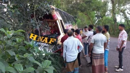 যাত্রীবাহী বাস নিয়ন্ত্রণ হারিয়ে গাছে ধাক্কা, আহত ২০