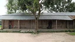 বদলগাছীতে তিন মাদ্রাসায় ১২ পরীক্ষার্থী, পাস করেনি একজনও