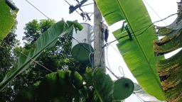 ট্রান্সফরমার চুরি করতে গিয়ে বিদ্যুৎস্পৃষ্ট, মৃত ভেবে সঙ্গীকে ফেলে পালাল চোর চক্র