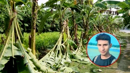 এশিয়া পোস্টে সংবাদ প্রকাশ, কলাবাগান কাটায় প্রধান অভিযুক্ত গ্রেপ্তার