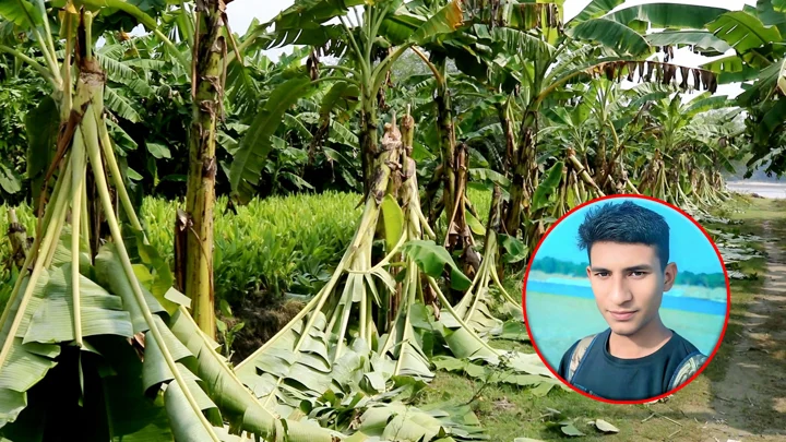 এশিয়া পোস্টে সংবাদ প্রকাশ, কলাবাগান কাটায় প্রধান অভিযুক্ত গ্রেপ্তার