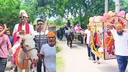 ঘোড়ায় বর, পালকিতে কনে, অতিথিরা মহিষ-গরুর গাড়িতে