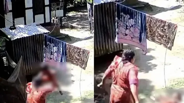 দুই বছরের নাতিকে মাটিতে ছুড়ে ফেলার অভিযোগে দাদি গ্রেপ্তার