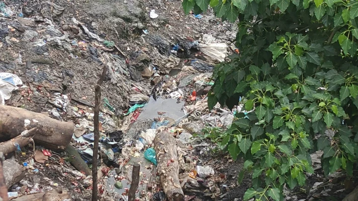 দখল-দূষণে ভরাট হচ্ছে মাটিরাঙ্গার ধলিয়া জলাশয়