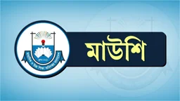শাস্তির মুখে পড়ছেন আট হাজার শিক্ষক
