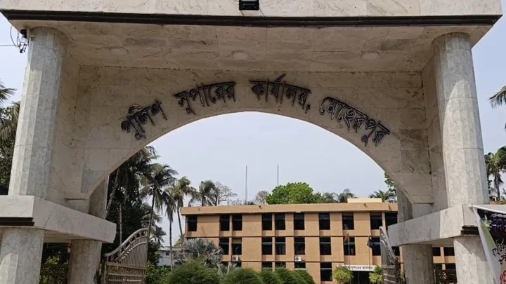 মেহেরপুরে পুলিশের সাঁড়াশি অভিযান, এক রাতেই আটক ৪৬