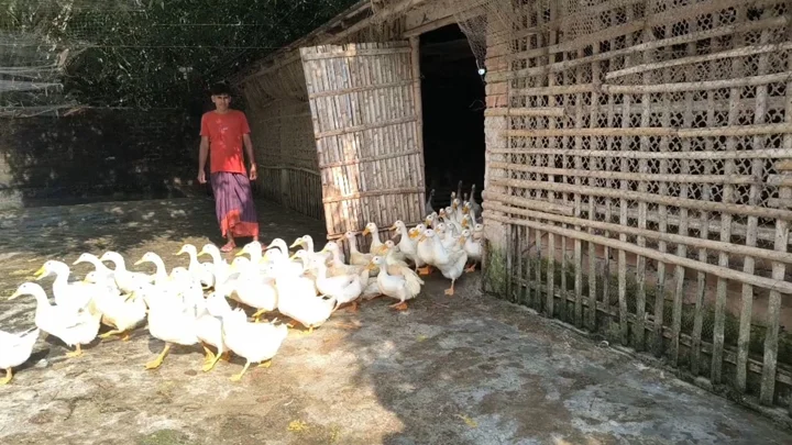 মায়ের ২০ হাজার টাকায় শুরু, মাসে এখন বাঁধনের আয় ৪ লাখ টাকা