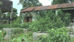 ২০ বছর ধরে বন্ধ সরকারি মৎস্য হ্যাচারি, বাড়ছে মাছ চাষের উৎপাদন খরচ