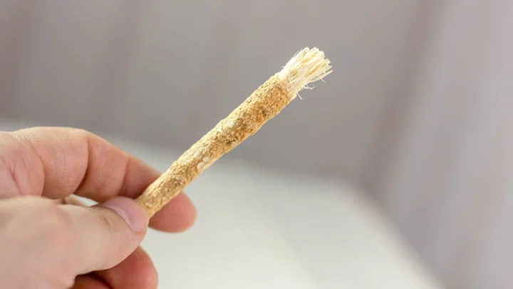 যে কারণে মিসওয়াক করতে বলেছেন মহানবী (সা.)