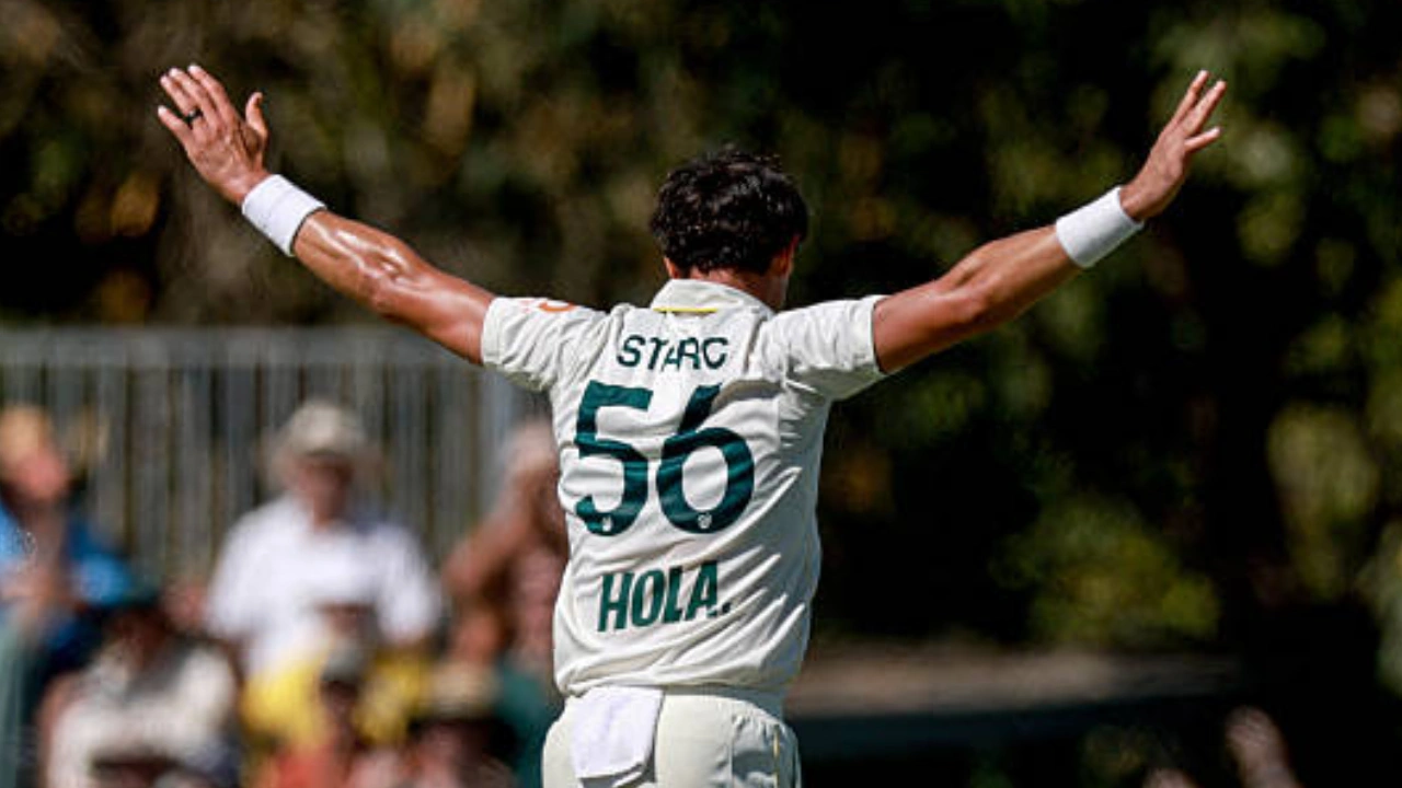 mitchel starc