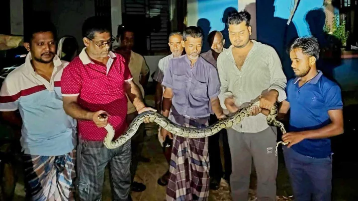 বসতবাড়ির পরিত্যক্ত খাদ থেকে অজগর উদ্ধার