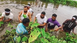 গলাপানিতে নেমে খালের কচুরিপানা পরিষ্কার করলেন এমপি মুহাম্মদুল্লাহ