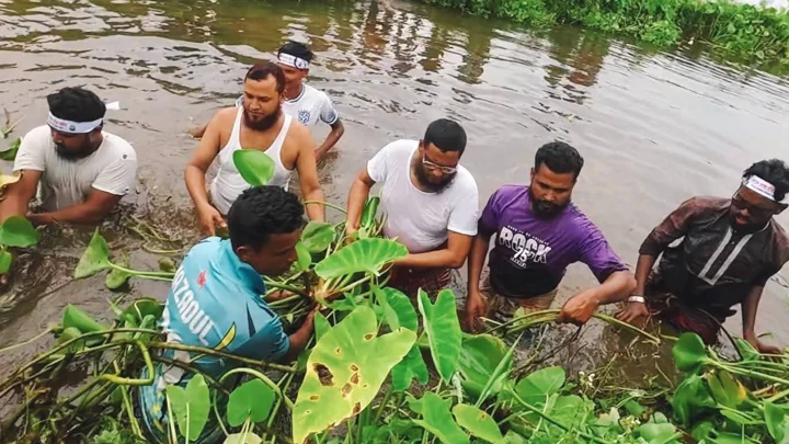 গলাপানিতে নেমে খালের কচুরিপানা পরিষ্কার করলেন এমপি মুহাম্মদুল্লাহ