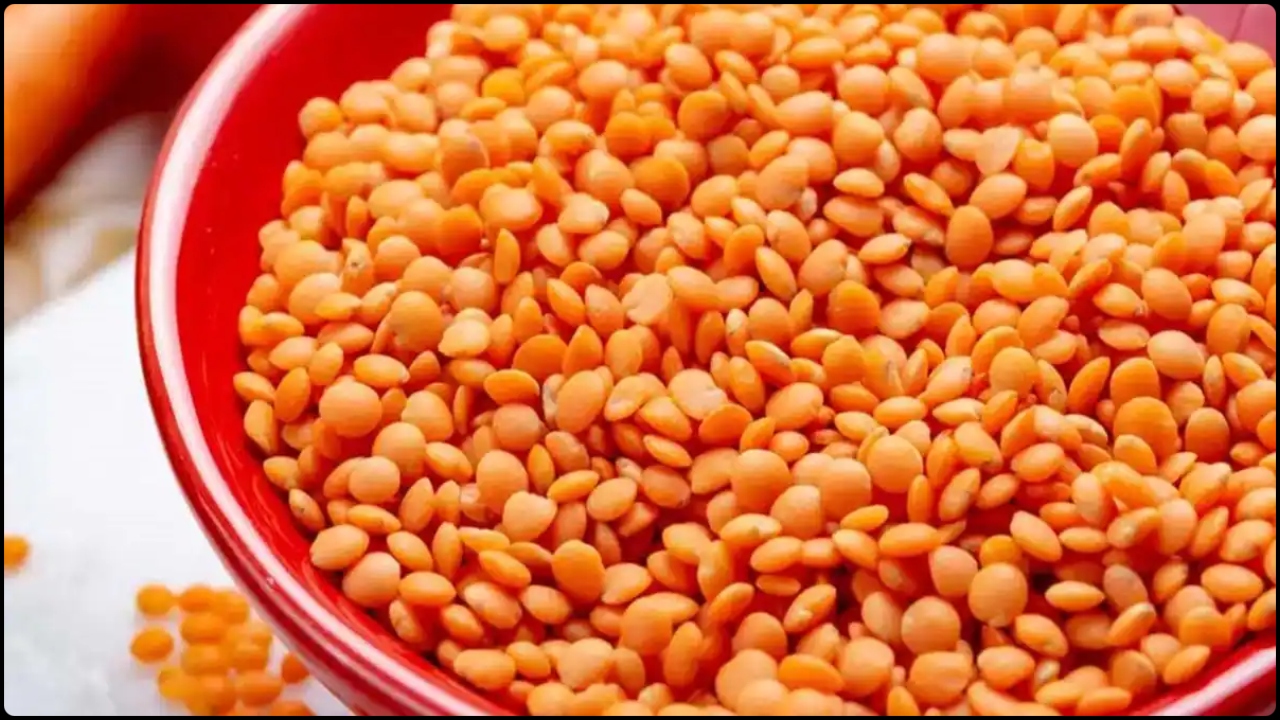 musur daal