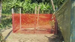 ময়মনসিংহ মেডিকেলে সিঁড়িতে পড়ে মারা যাওয়া কুলসুমার দাফন