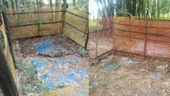 ঠাকুরগাঁওয়ে কবরস্থান থেকে ৫ কঙ্কাল চুরি