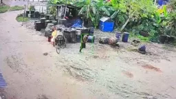 নারায়ণগঞ্জে ফার্নেস অয়েলের গুদামে আগুন, আধা ঘণ্টার চেষ্টায় নিয়ন্ত্রণে