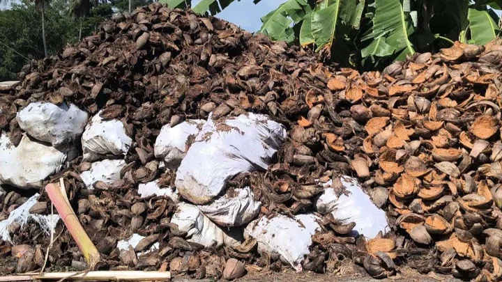 ফেলে দেওয়া নারিকেলের ছোবড়ায় তৈরি হচ্ছে নানা পণ্য