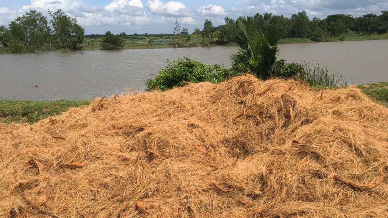 ছবি: এশিয়া পোস্ট