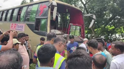 নাটোরে গরুবোঝাই ভটভটিতে বাসচাপায় প্রাণ গেল তিন ব্যবসায়ীর