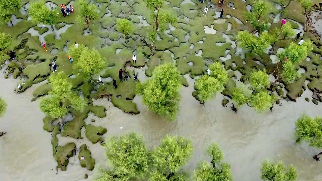 বরগুনার নিদ্রা পয়েন্ট। ছবি: এশিয়া পোস্ট