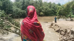 স্লুইসগেট ধসের তিন দিন পর নদীগর্ভে বিলীন হালিমার পুরো বাড়ি