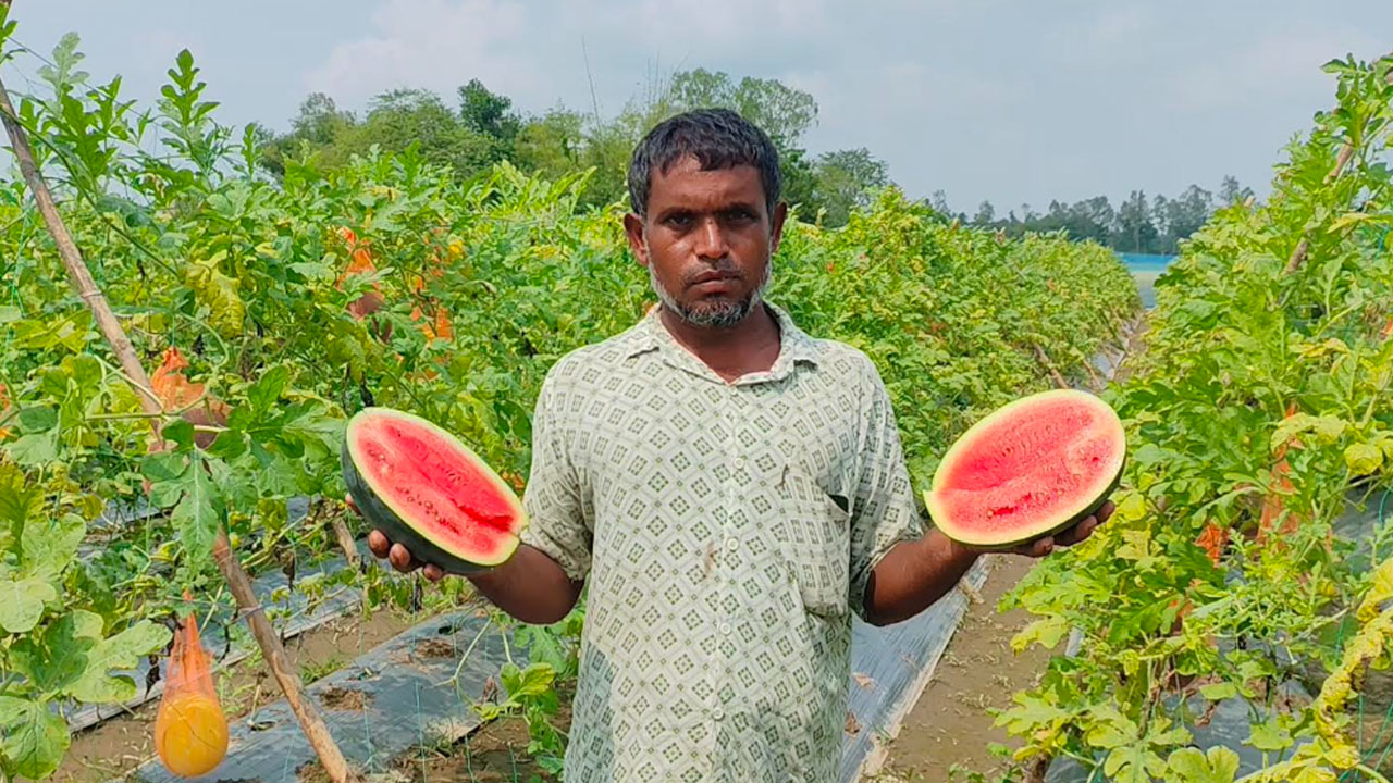 nilphamari8