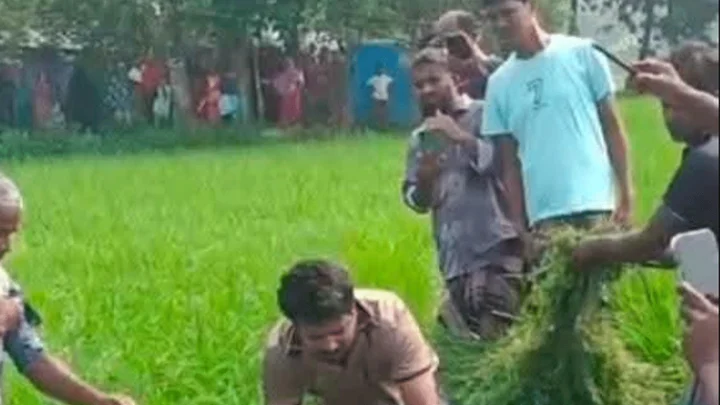 ইঁদুর মারা বৈদ্যুতিক ফাঁদে প্রাণ গেল কৃষকের