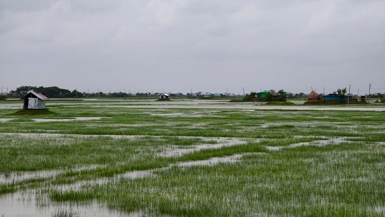 noakhali1