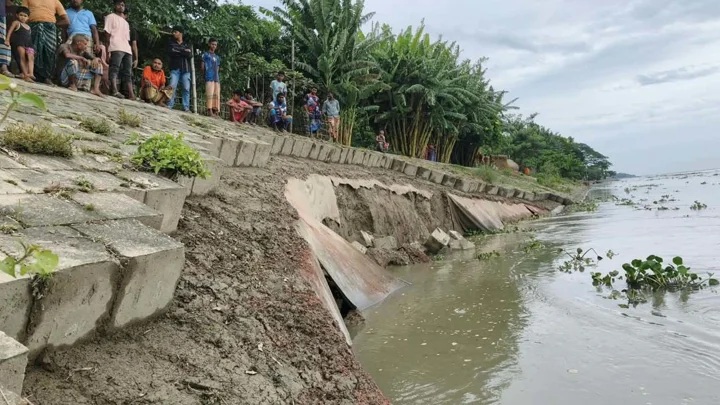 ব্রহ্মপুত্রের তীর রক্ষা বাঁধের ৪০ মিটার বিলীন, নতুন করে ফাটল
