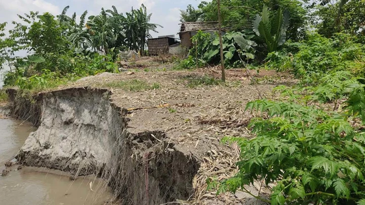 বছরজুড়েই সিরাজগঞ্জের চরাঞ্চলে ভাঙন, ২ শতাধিক বাড়িঘর বিলীন