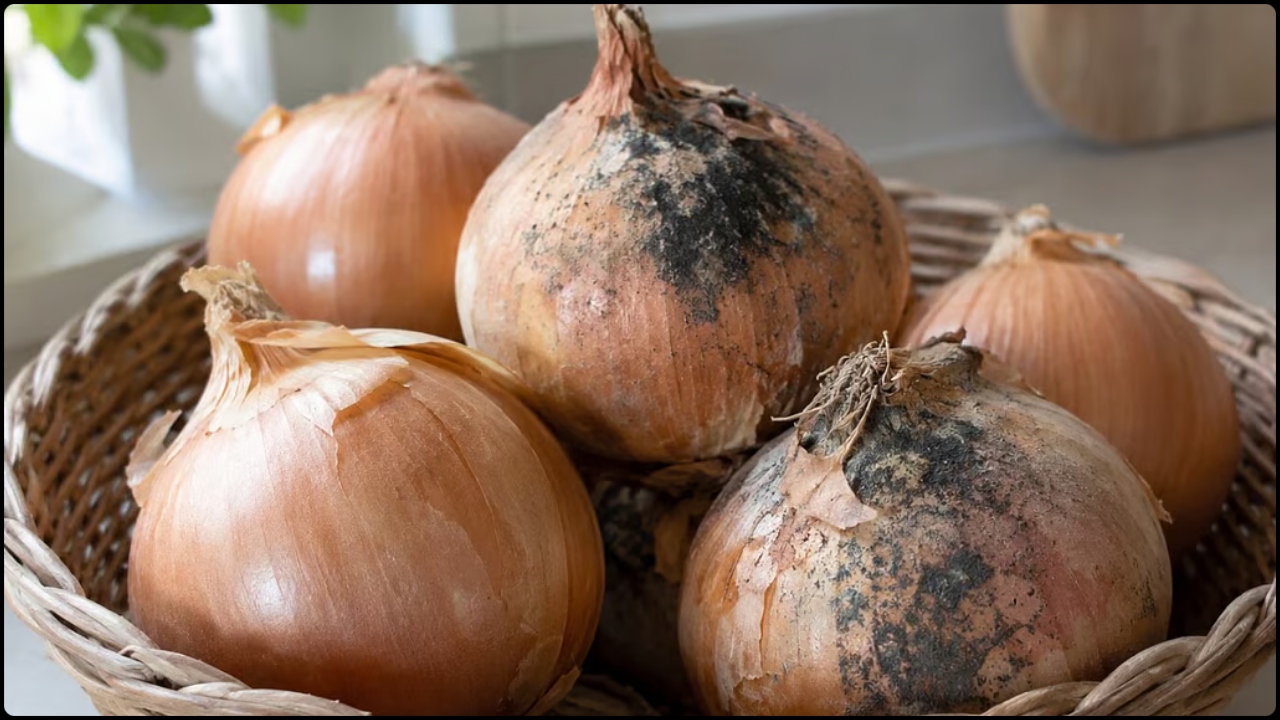 onion