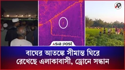 বাঘের আতঙ্কে সীমান্ত ঘিরে রেখেছে এলাকাবাসী, ড্রোনে সন্ধান 
