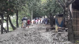 ১ কিমি কাদার চক্রেই কাটল স্বাধীনতার ৫৪ বছর
