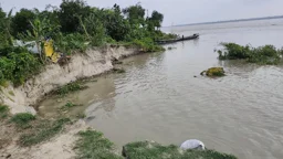 যমুনার পানি কমতেই তীব্র ভাঙন, ঝুঁকিতে বিদ্যুৎ উপকেন্দ্র