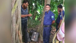 স্কুল থেকে চুরি হওয়া ১৭ ল্যাপটপ পরিত্যক্ত অবস্থায় উদ্ধার
