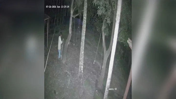সিসিটিভিতে রশি হাতে গাছে ওঠার দৃশ্য, সকালে মিলল ঝুলন্ত মরদেহ